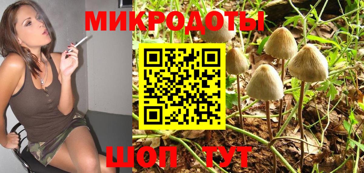 Менделеевск  Псилоцибиновые грибы Cubensis  где можно купить   Вход с VPN 