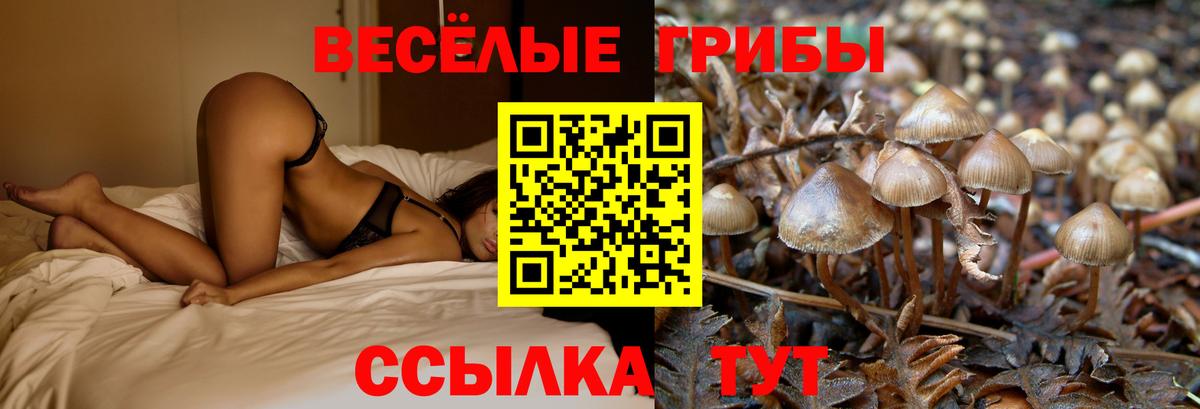 A-PVP Менделеевск